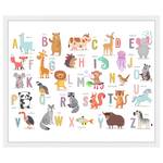Bild The Animal Alphabet Buche Massiv / Acrylglas - Weiß - 53 x 63 cm