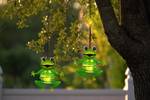 Lampes solaires Frosch B - Lot de 2 Fer - Vert