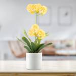 Fleur artificielle en pot Orcha Matière plastique / Fer - Jaune