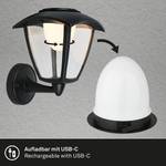 LED-wandlamp Riks kunststof - zwart - 1 lichtbron