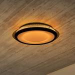 Lampada da soffitto a LED Canna Ferro / Vetro acrilico - Nero - 1 punto luce