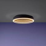 Lampada da soffitto a LED Ferro / Vetro acrilico - Nero / Ottone - 1 punto luce