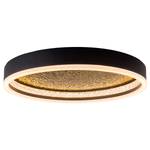 Lampada da soffitto a LED Ferro / Vetro acrilico - Nero / Ottone - 1 punto luce