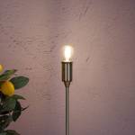 Lampadina a LED Daffy Globe Vetro trasparente - Set da 6