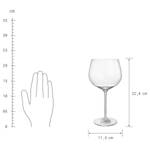 Ginglas GIN LOVERS 6er-Set Glas - Transparent