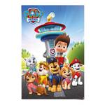 Poster Paw Patrol papier - meerdere kleuren - 61 x 91,5 cm