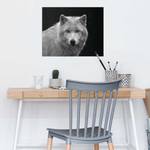 Poster Witte Wolf Black and White papier - zwart/wit - 40 x 50 cm