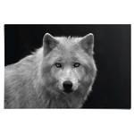 Poster Witte Wolf Black and White papier - zwart/wit - 61 x 92 cm