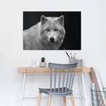 Poster Witte Wolf Black and White papier - zwart/wit - 61 x 92 cm