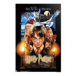 Poster Harry Potter papier - meerdere kleuren - 61 x 91,5 cm