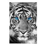 Poster Tigerblick Papier - Schwarz - 61 x 91,5 cm