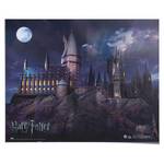 Poster Harry Potter Hogwarts papier - blauw - 40 x 50 cm