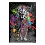 Poster Coloured Lion Papier - Mehrfarbig - 61 x 91,5 cm