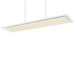 LED-Pendelleuchte Murphy Acryl / Eisen - 2-flammig - Breite: 29 cm