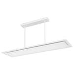 LED-Pendelleuchte Murphy Acryl / Eisen - 2-flammig - Breite: 29 cm