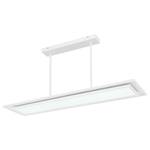 LED-Pendelleuchte Murphy Acryl / Eisen - 2-flammig - Breite: 29 cm