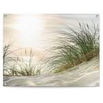 Kunstdruck Sonnenuntergang PVC - Beige - 60 x 80 cm