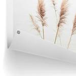 Kunstdruck Pampasgras PVC - Beige - 60 x 80 cm