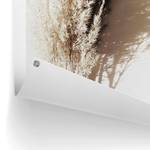 Kunstdruck Sonniges Gras PVC - Beige - 60 x 80 cm