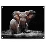 Kunstdruck Elefant PVC - Braun - 60 x 80 cm