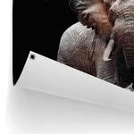 Kunstdruck Elefant PVC - Braun - 60 x 80 cm