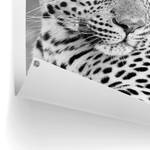 Kunstdruck Leopard PVC - Schwarz - 60 x 80 cm