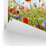 Kunstdruck Blumenfeld PVC - Multicolor - 60 x 80 cm