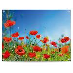 Kunstdruck Sommerblumen PVC - Rot - 60 x 80 cm