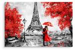 Image Sur Toile TOUR EIFFEL Paris Arbres 70 x 50 x 50 cm