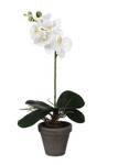 Kunstpflanze Phalaenopsis