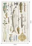 Holzpaneel Fische Beige - Massivholz - 40 x 60 x 40 cm