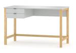 Holz&MDF 120x60 Grau Schreibtisch