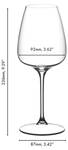 Weißwein Champagner Gläser Grape 2er Set Glas - 10 x 24 x 10 cm