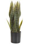 Plante artificielle SNAKE PLANT 10 x 40 x 10 cm