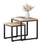 Lot de 2 Tables Basses FBT42-N Bois