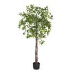 Kunstpflanze Ficus