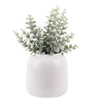 Ivy Vase Large