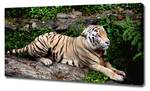 Wandbild Tiger auf Felsen Beige - Textil - Holz teilmassiv - 120 x 60 x 4 cm