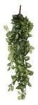 Künstliche Hängepflanze Fittonia Grün - Kunststoff - 30 x 15 x 80 cm