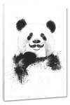 Leinwandbild Funny Panda 80 x 120 cm