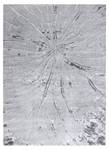 Tapis Mefe Moderne 2784 Arbre Bois Gris - Matière plastique - Textile - 80 x 1 x 150 cm