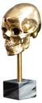 Skulptur SKULL Gold - Grau - Metall - Stein - 12 x 35 x 17 cm