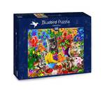 1000 Puzzle Kitten Teile Fun