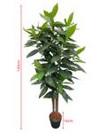 Plante Artificielle Cassia RE7041 Vert - Matière plastique - 40 x 145 x 40 cm