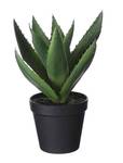 K眉nstliche Aloe Pflanze