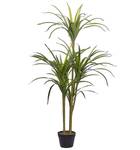 Plante artificielle DRACAENA ANITA 55 x 147 x 55 cm