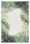 Wohnteppich Palm Cycas 80 x 150 cm