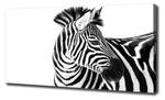 Wandbild Zebra im Schnee 140 x 70 cm