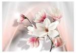 magnolias White Fototapete