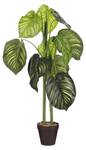 Plante artificielle Caladium Vert